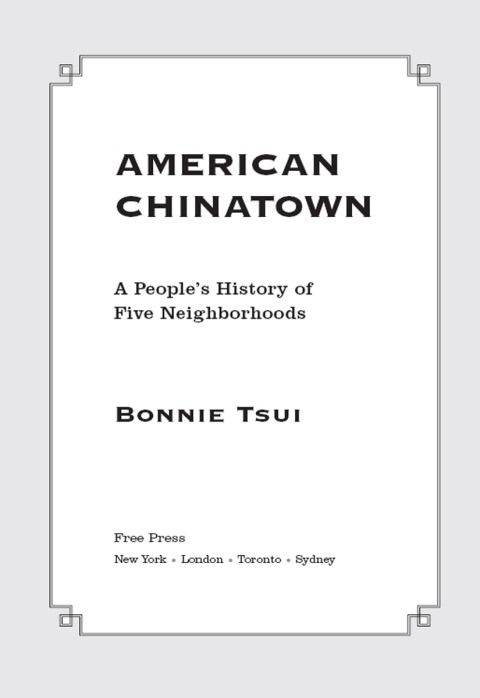 Cover image for book American Chinatown