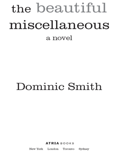 Cover image for book The Beautiful Miscellaneous
