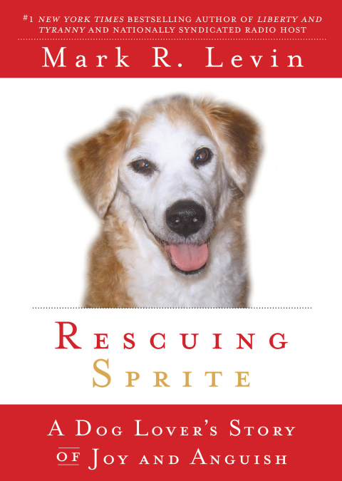 Cover image for book Rescuing Sprite