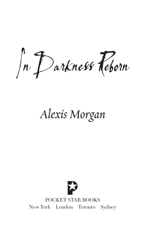 Cover image for book In Darkness Reborn