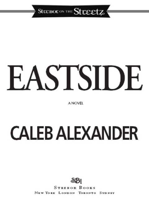 Cover image for book Eastside