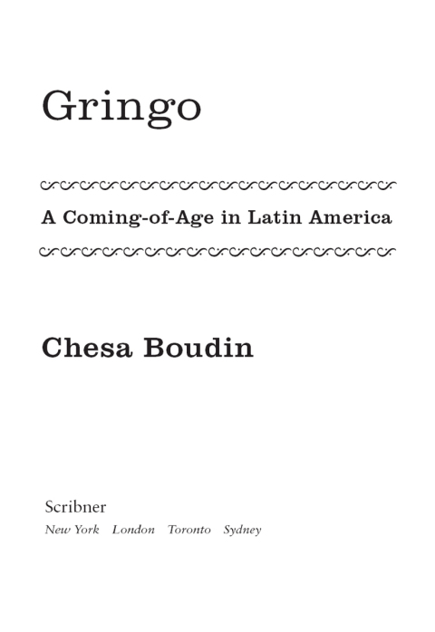 Cover image for book Gringo