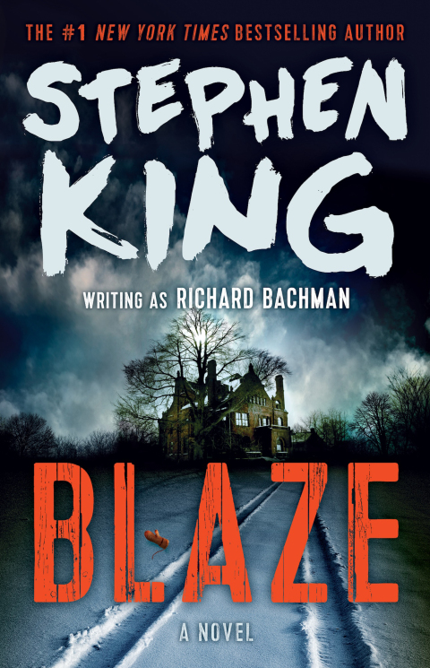 Cover image for book Blaze