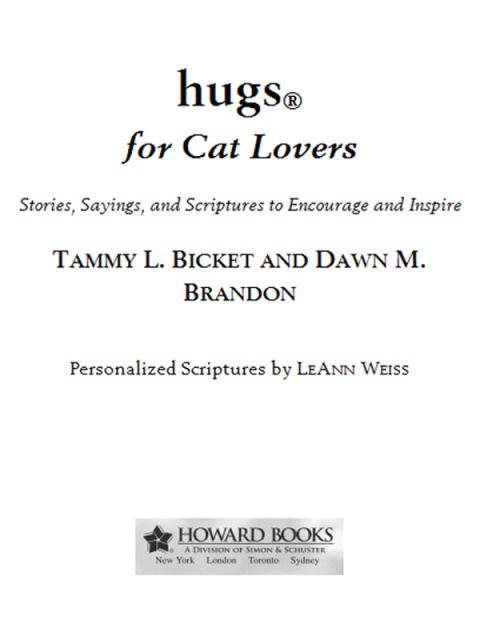 Cover image for book Hugs for Cat Lovers