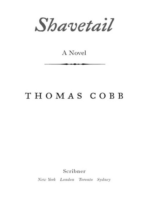 Cover image for book Shavetail