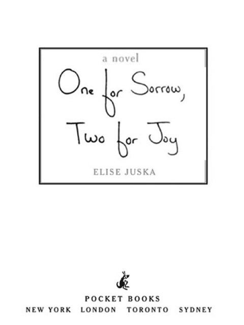 Cover image for book One for Sorrow, Two for Joy
