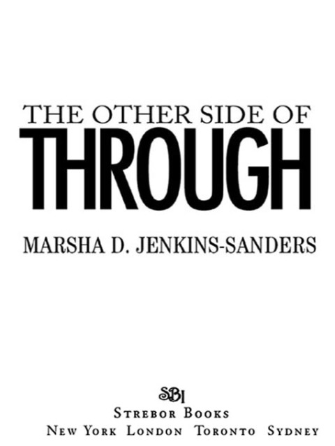 Cover image for book The Other Side of Through