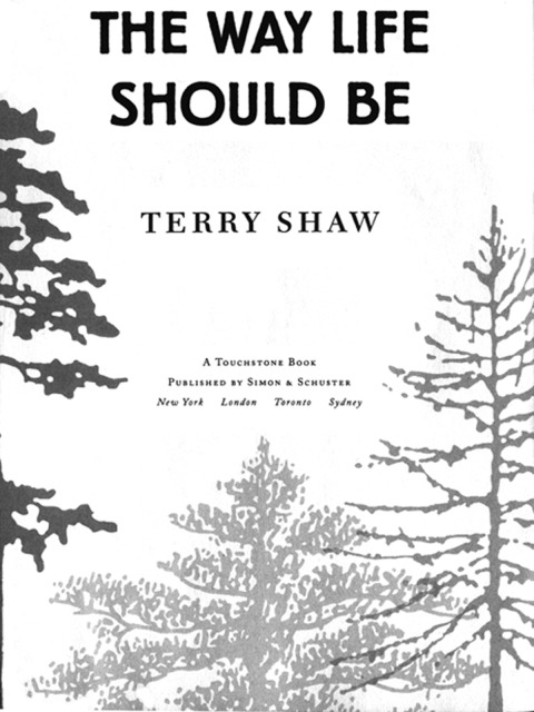 Cover image for book The Way Life Should Be