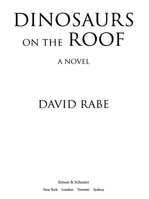 Cover image for book Dinosaurs on the Roof