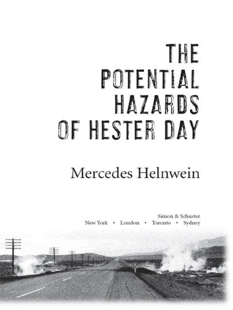 Cover image for book The Potential Hazards of Hester Day