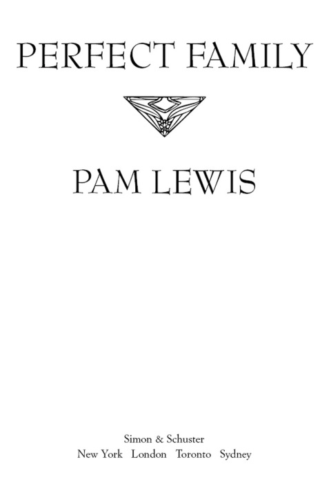 Cover image for book Perfect Family