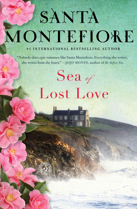 Cover image for book Sea of Lost Love