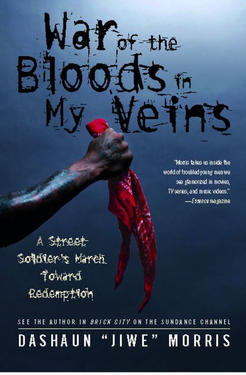 Cover image for book War of the Bloods in My Veins