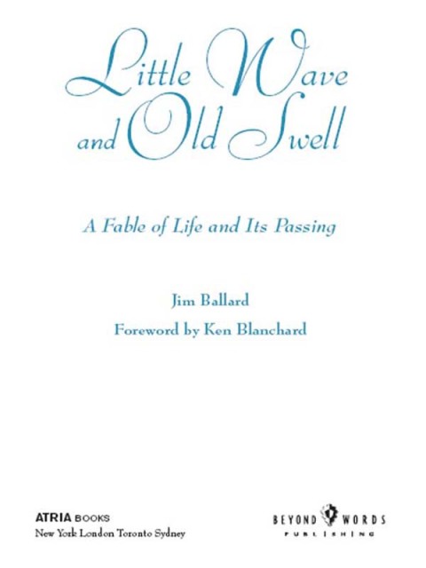 Cover image for book Little Wave and Old Swell