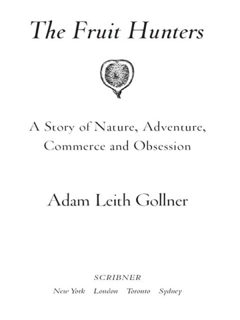 Cover image for book The Fruit Hunters