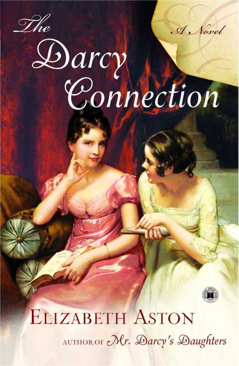 Cover image for book The Darcy Connection