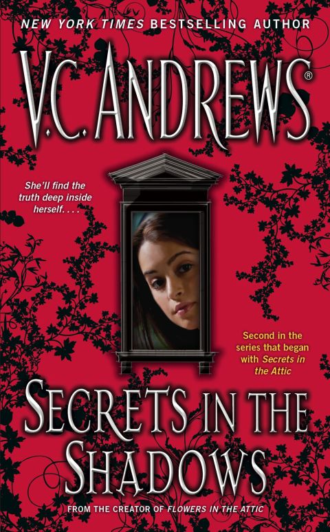 Cover image for book Secrets in the Shadows