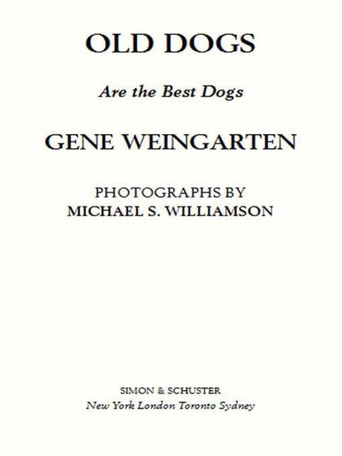 Cover image for book Old Dogs