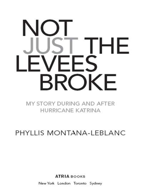 Cover image for book Not Just the Levees Broke