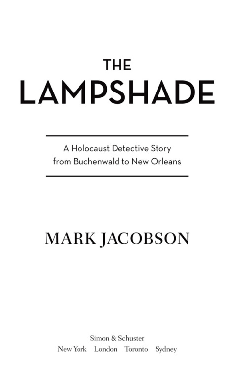 Cover image for book The Lampshade