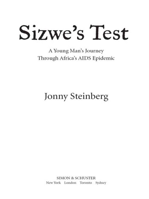 Cover image for book Sizwe's Test