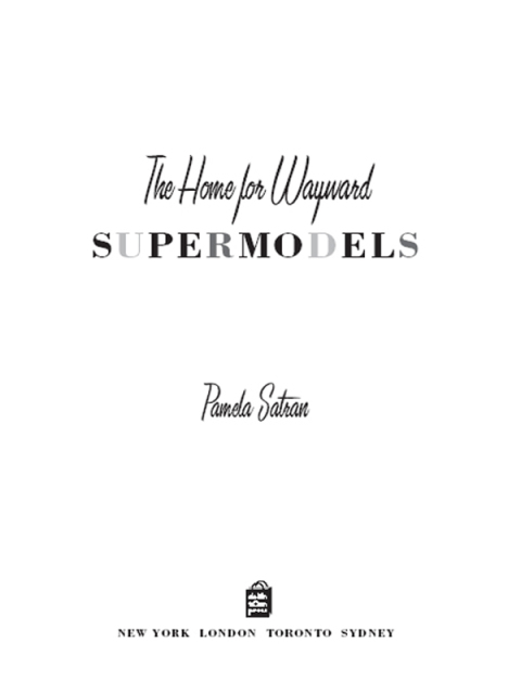 Cover image for book The Home for Wayward Supermodels