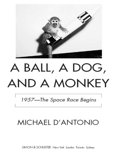 Cover image for book A Ball, a Dog, and a Monkey
