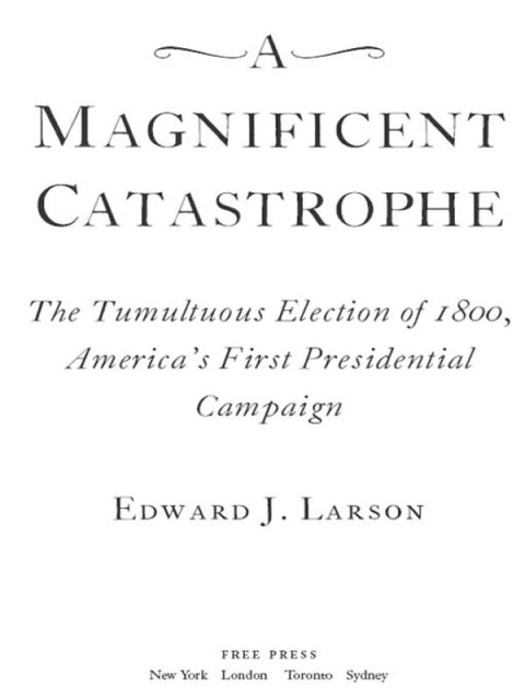 Cover image for book A Magnificent Catastrophe