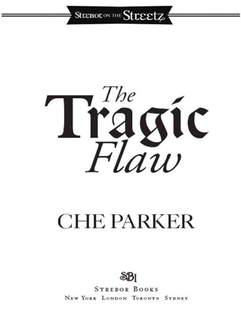 Cover image for book The Tragic Flaw