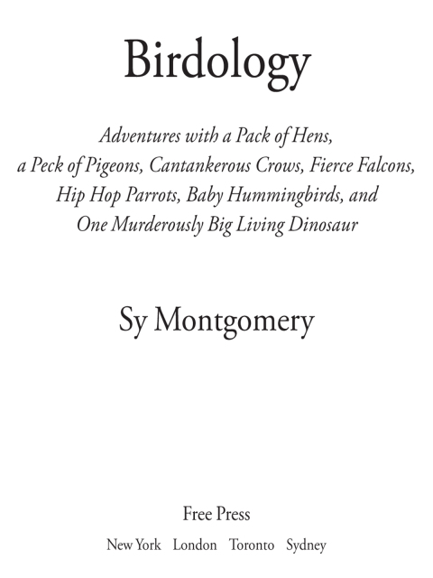 Cover image for book Birdology