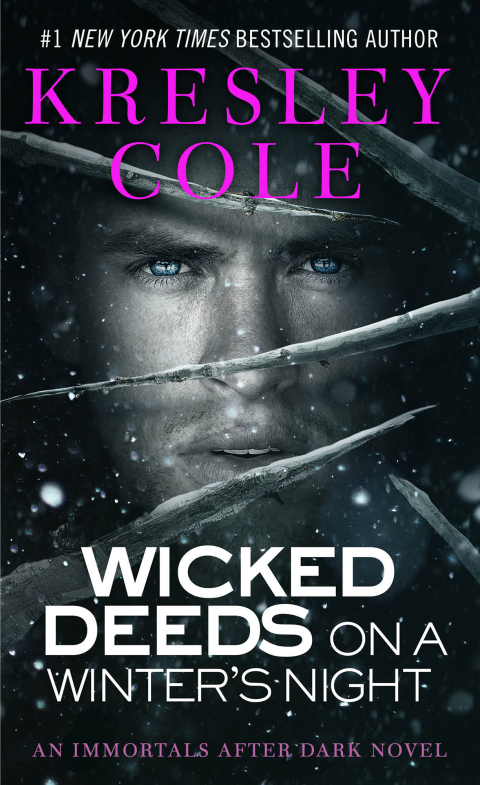Cover image for book Wicked Deeds on a Winter's Night