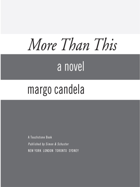 Cover image for book More Than This