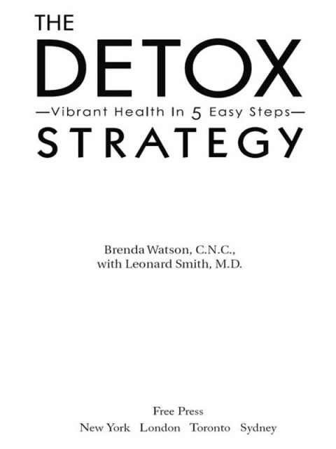 Cover image for book The Detox Strategy