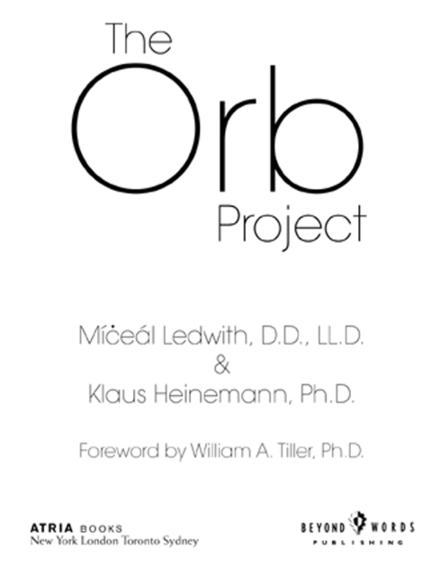 Cover image for book The Orb Project