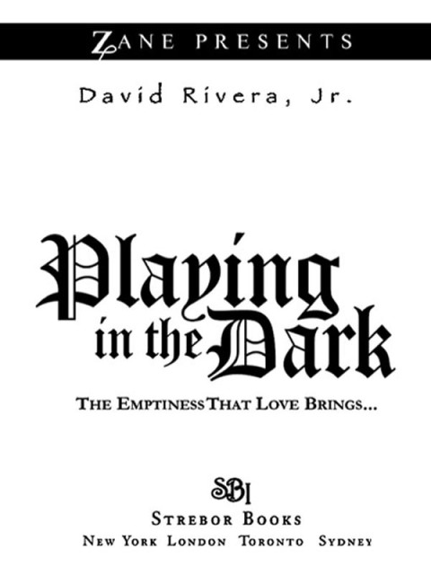 Cover image for book Playing in the Dark