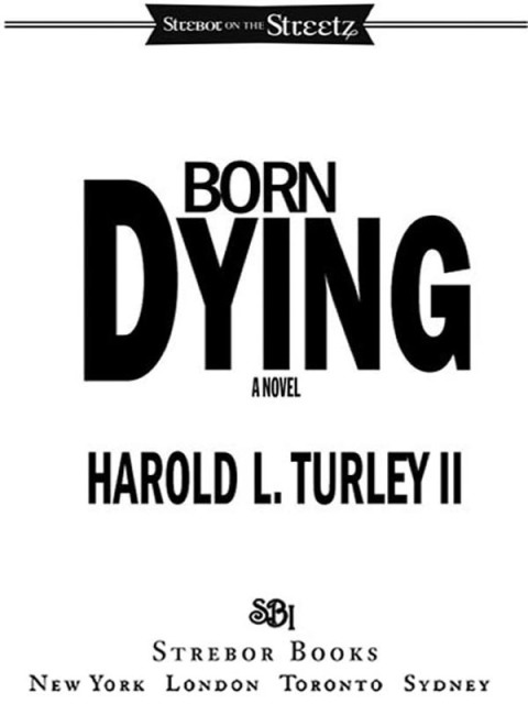 Cover image for book Born Dying