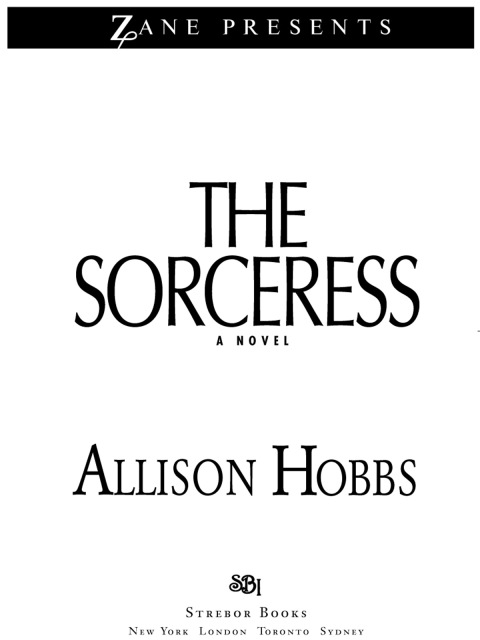 Cover image for book The Sorceress
