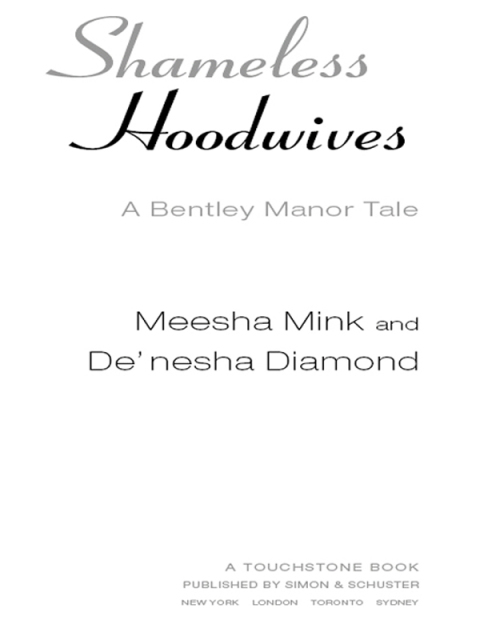 Cover image for book Shameless Hoodwives