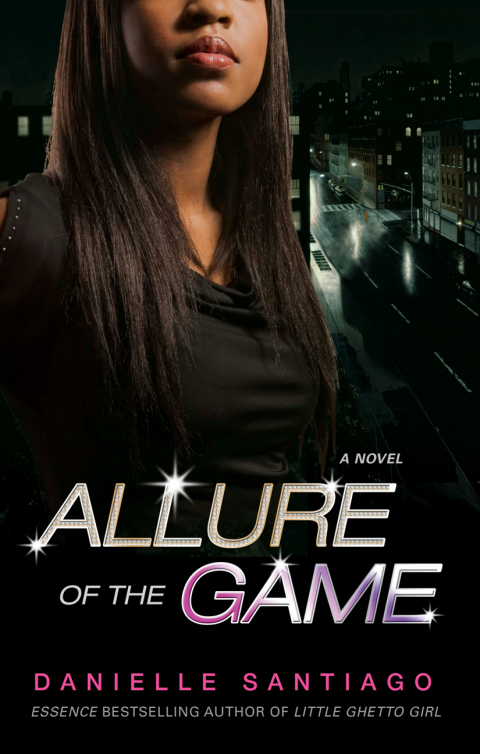 Cover image for book Allure of the Game