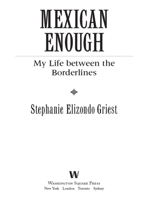 Cover image for book Mexican Enough
