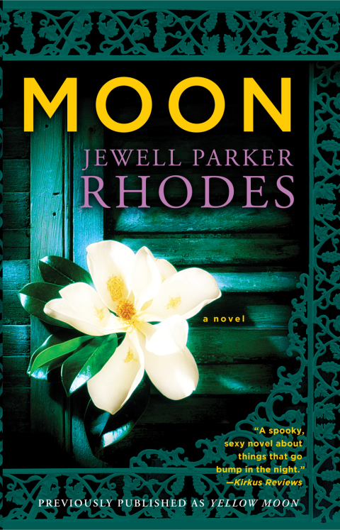 Cover image for book Moon