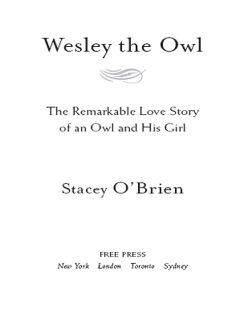 Cover image for book Wesley the Owl