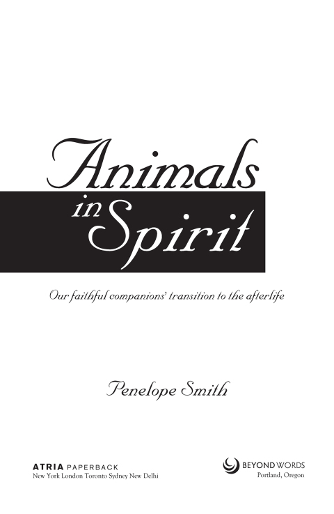 Cover image for book Animals in Spirit