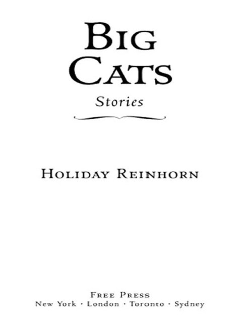 Cover image for book Big Cats