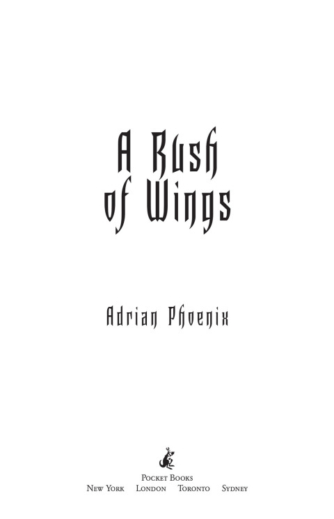 Cover image for book A Rush of Wings
