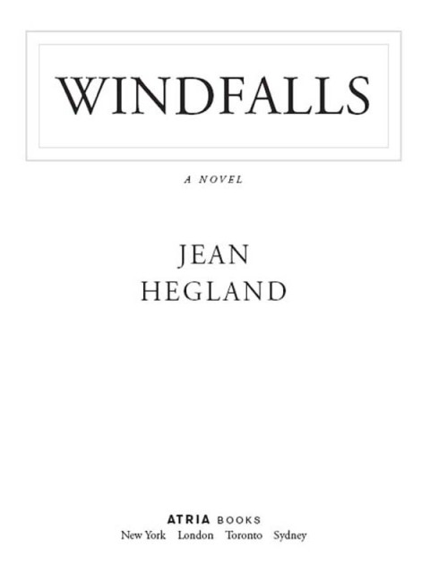 Cover image for book Windfalls