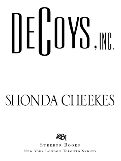 Cover image for book Decoys, Inc.