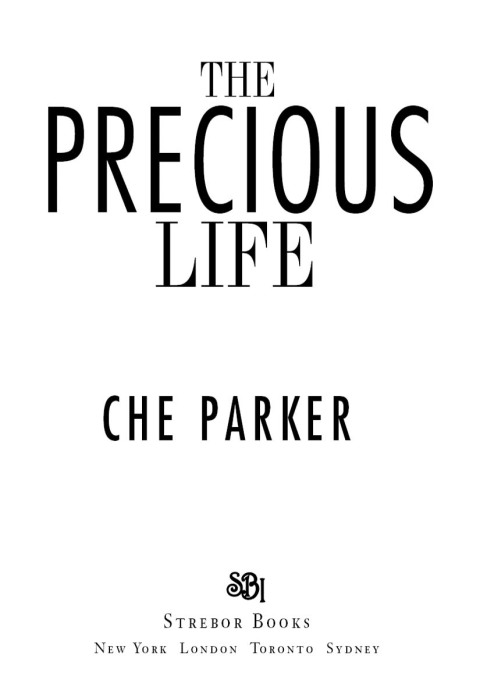 Cover image for book The Precious Life