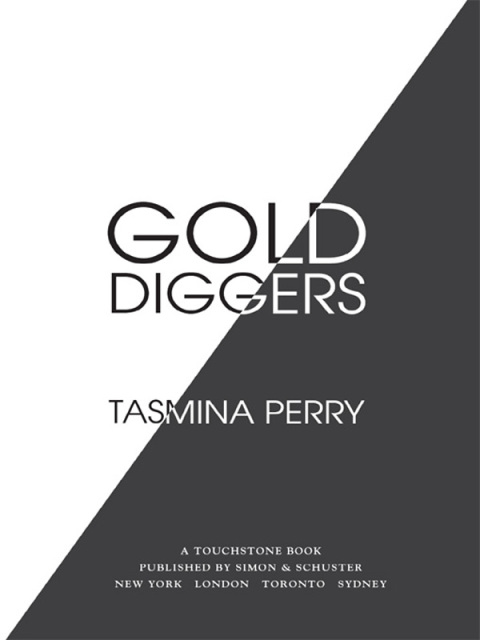 Cover image for book Gold Diggers