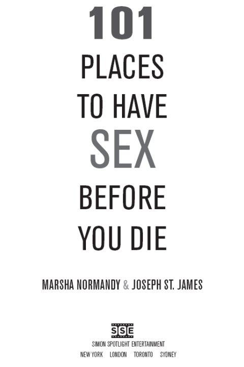 Cover image for book 101 Places to Have Sex Before You Die